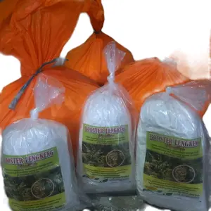 MURNI 1kg PUPUK BOSTER KLENGKENG ORIGINAL TANPA CAMPURAN . buah Serbuk Tanaman