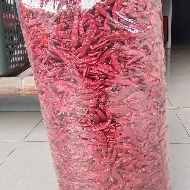 MURAH 1KG CABE RAWIT TEJA SETAN KERING KUAKITAS SUPER PEDAS 2