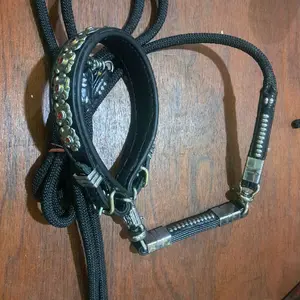 kala patiak patah 2 untuk payakumbuh