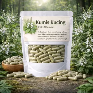 100 Kapsul Herbal DAUN KUMIS KUCING Herbal Alami Tanpa Campuran (Anyang Anyangan, Ginjal, Asam Urat, Asma)