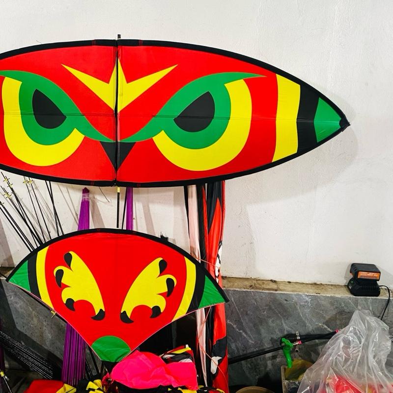 Diều cacbon 2m cú tròn xanh  Đồ Chơi Toy