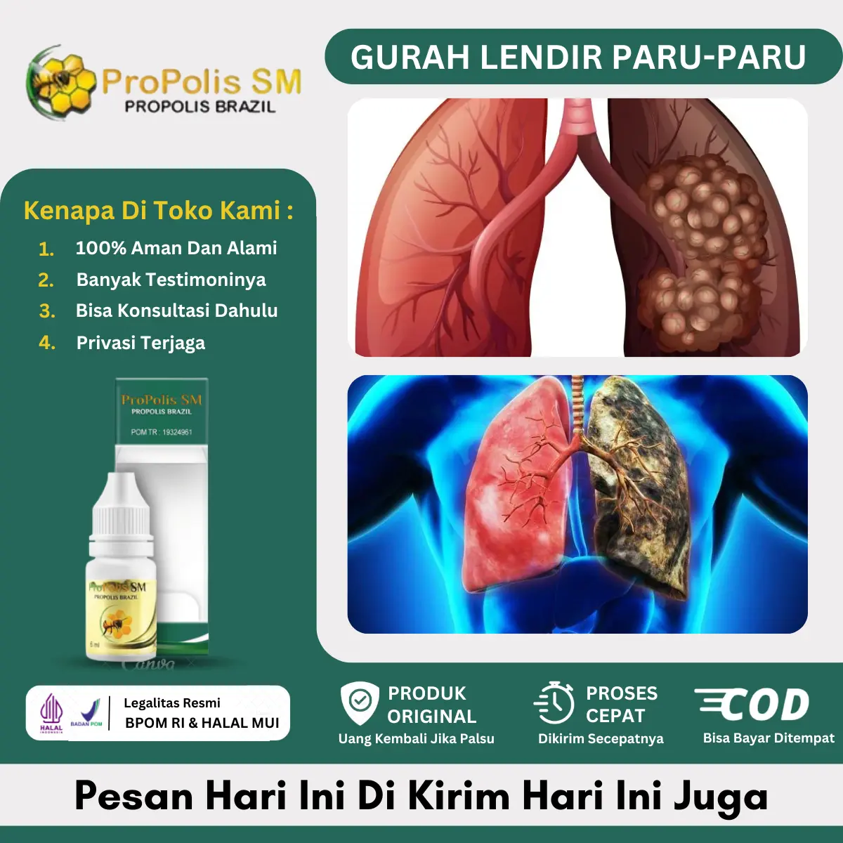 Propolis SM Gurah Lendir Paru - Paru, Paru - Paru Batuk Berdahak, Penghilang Lendir di Tenggorokan, Gurah Lendir dan Dahak, Batuk Menahun