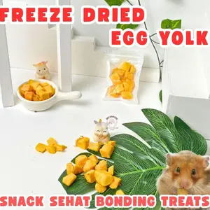 SNACK FREEZE DRIED EGG YOLK CEMILAN SNACK HAMSTER SUGAR GLIDER TELUR KERING HEWAN PELIHARAAN KECIL