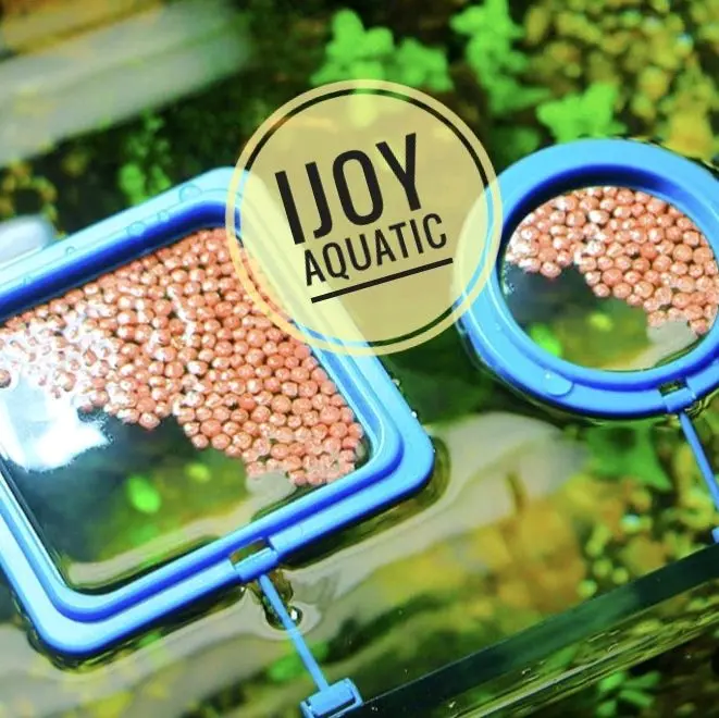 RING FEEDER feeding tempat pakan ikan akuarium
