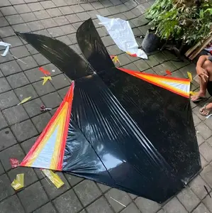 Layagan Cotek Belolong UK 1,2 meter full set siap terbang