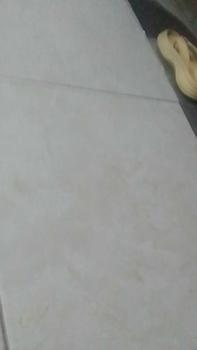 Product Review of Tas Ransel Tas Sekolah backpack Karakter Lucu Viral Kuromi untuk SD TK PAUD anak perempuan Fashion from N** 0