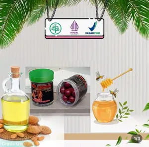 SJ MADU MURNI MOBEY TAKENDUL ENDULALA HERBAL ORI SINGJAN HONEY HUTAN ALAMI SYRUP