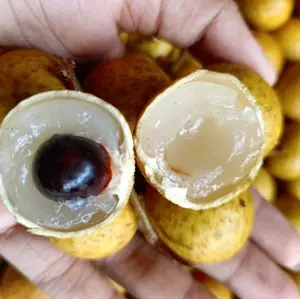 promo klengkeng manis 500gr