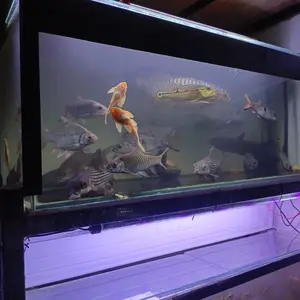 SBT Spons Akuarium Multifungsi - Anti Gores PJ72 / Bersihkan Kerak Kapur dalam Sekejap