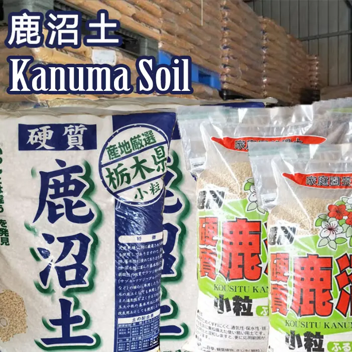 Japanese Kanuma 3-6mm for Acid Loving Plant, Succulent, Haworthia, Bonsai Tree Soil Mix, Sold in repacks of 1L