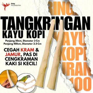 Batang Kayu Kopi 3/4 50cm-100cm Untuk Tangkringan Burung
