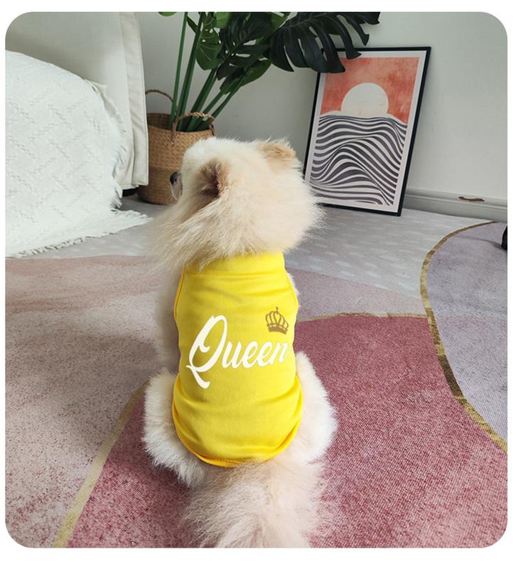 Product Introduction of Cat and dog fashion design, printed clothing, trendy brand pet small and medium-sized dog sleeveless vest 8