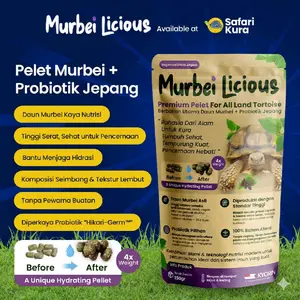 PELET MURBEY HIKARI MULBERIFIC DELITE 150 GR MAKANAN KURA KADAL IGUANA SULCATA PARDALIS ALDABRA