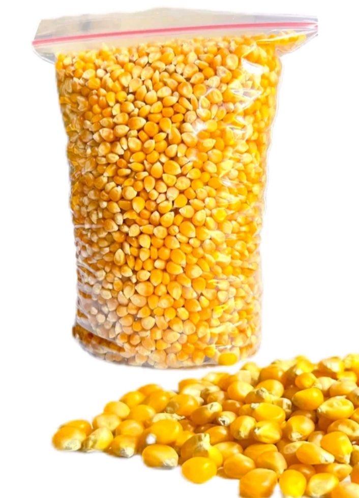 BIJI JAGUNG POPCORN MUSHROOM berat 100gr-1000gr bulat besar import US BIJI JAGUNG POPCORN MUSHROOM berat 100gr-1000gr bulat besar import US