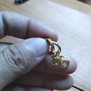ANTING JEPIT GANDUL TETES TITANIUM, ANTING WANITA ANTI KARAT ELEGAN Earrings