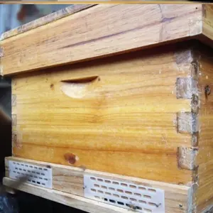 COD 10 Pcs Sekat Ratu Queen Excluder Skat Pintu Lebah Tawon Lokal Apis Cerana Tawon Madu Pintu Keamanan Security Bee Ondohan Unduhan Lebah Madu Anti Kabur Sengat Lebah