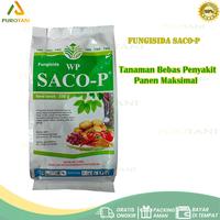 Gambar Obat Layu Fusarium SACO-P Trichoderma koningii dari PUROTANI.ID Kab. Purworejo 1 Tokopedia