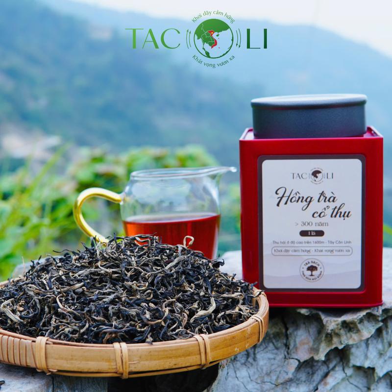 Hồng Trà Shan Tuyết Cổ Thụ 1 Tôm 1 Lá Trên 300 Năm Tây Côn Lĩnh - Tacoli Tea Nước Trà Chè