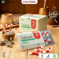Gambar Calcusol Strip 10 Kapsul – Suplemen Herbal Batu Ginjal, Aman & Terpercaya dari PJT Dr Sardjito Store Kota Yogyakarta 4 Tokopedia