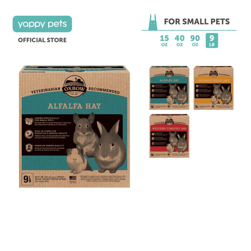 Oxbow Farm Fresh Hay Small Animal Treats 9lb | Rabbit, Chinchilla ...