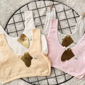 3,6,12Pcs Miniset Polini 3102 Miniset ABG Anak Remaja SD SMP Tanpa Busa Polini Motif Fashion