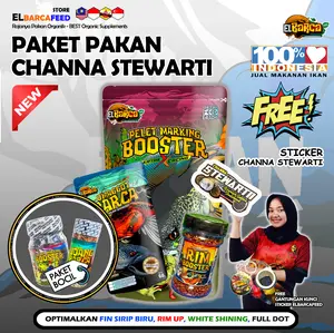 PAKET PAKAN CHANNA STEWARTI (Push Sirip Fin Ekor Biru, White Shining, Full Dot) + Sticker Channa Gratis