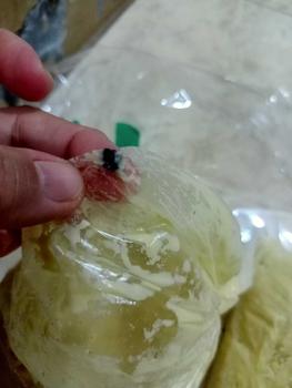 Product Review of 1kg Tempoyak Palembang 100  persen Asli Durian from j**a 2