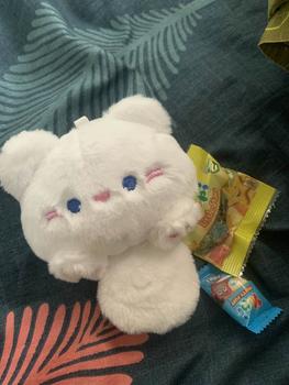 Product Review of Plushie Keyring Doll Enhypen from j** 0