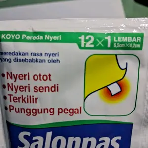 1box salonpas isi 10sachet,1sachet isi12lembar
