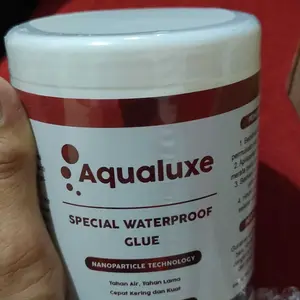 Aqualuxe Lem Anti Bocor 1kg Transparan Waterproof Nano Serbaguna untuk Tembok Atap & Lantai Super Kuat Teknologi Nano Particle Invisible Tahan Air