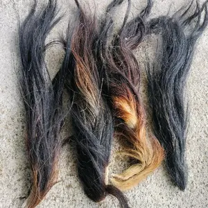 rambut sapi/ekor sapi asli