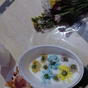 Silica Gel Pengering Bunga  – Bubuk Proses Bunga Kering & Kerajinan - Botanical Dry Gel - Pengawet Bunga Segar tanaman Hias
