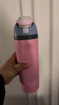 Product Review of FreeSip Insulated Stainless Steel Bottle with Locking Push Button Lid Portable Gym Sports Water Bottle  Tumbler Vacuum Flask from S**l 1