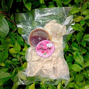 Wonton Pangsit Siomay Ayam Halal Isi 8 Premium Plus Chili Oil Atau Saos Asam Manis