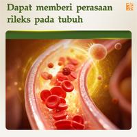 Gambar 【Private Domain-VIP-A】Expce Teh Herbal 12 Sachet, Segar Alami, Relaksasi Setiap Hari - 1PCS dari Kreain Nature Official Store Kab. Tangerang 4 Tokopedia