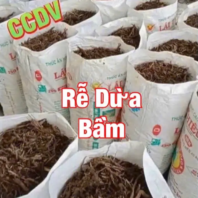 Rễ Dừa Mục Không Đất: (Cục - Bầm - Nát - Bột).  Giúp cây phát triển tốt - Sạch từ thiên nhiên - Bao (52x84)cm: Nặng: từ 8 kg - 14 kg 0