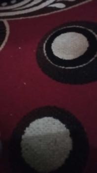 Product Review of AN -  Promo Sandal Slop Slip On Distro Casual Pria Wanita Dewasa from Q**7 0