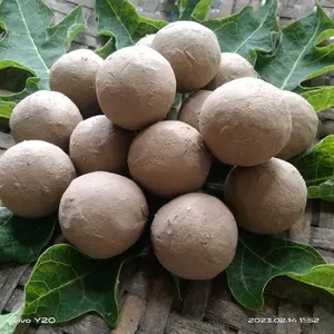 Tanah Liat Bulat Isi 15 Butir Penghilang Pait Memasak Daun Pepaya