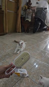Product Review of Sisir Uap Kucing 3 in 1 - Pet Grooming Brush Spray - Steams Brush Kucing - Sisir Sikat Uap Untuk Bulu Rontok Kucing Anjing from P**T S**O B** W**A 1
