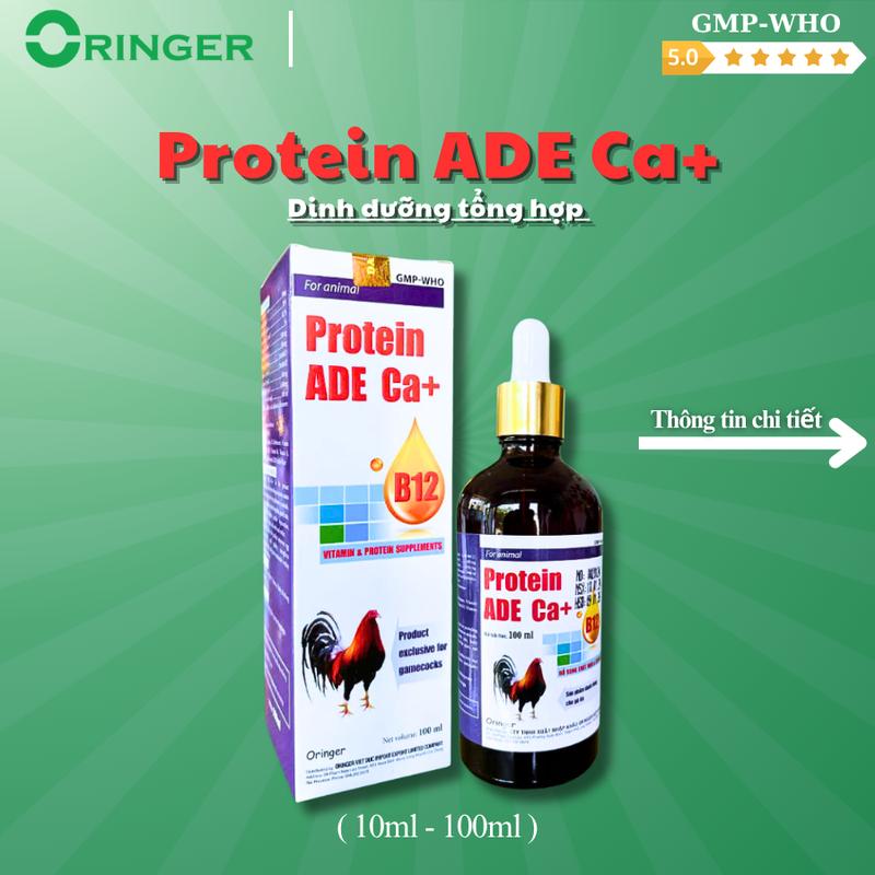  Protein B12 nhân sâm cao cấp  sản phẩm dành riêng cho gà đá giúp gà nở khung tăng cơ sung túc mát gà hấp thu dinh dưỡng tốt chuyển đổi thức ăn cao   b12  chính hãng b12  của nhỏ  đá thuốc  nhỏ  gà thuoc  gada thuo c nuo iga hieu qua thuoc cho ga noi 