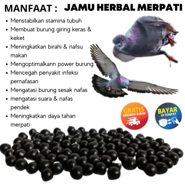 JAMU MERPATI CEPAT GIRING KERAS isi 100 butir sarang walet ferfect power jamu ginseng teki hff rjb xes4 elite 99 extra JP 7