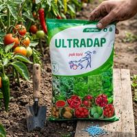 Gambar Pupuk Ultradap Pak Tani 1KG Kristal Tanaman Sayur Holtikultura dari PUROTANI.ID Kab. Purworejo 3 Tokopedia
