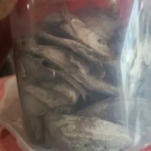 1000gr Ikan Asin Layur Besar Premium Fresh Ikan Kering Seafood Laut