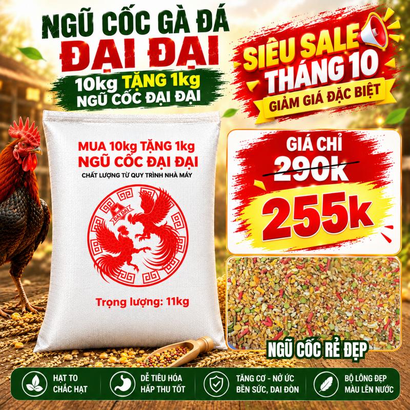 Ngũ Cốc Gà Đá Đại Đại - Siêu Tiết Kiệm, Đầy Đủ Dưỡng Chất, Phát Triển Lông, Mau Lên Tay
