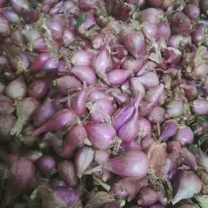 bumbu dapur bawang merah sedang campur