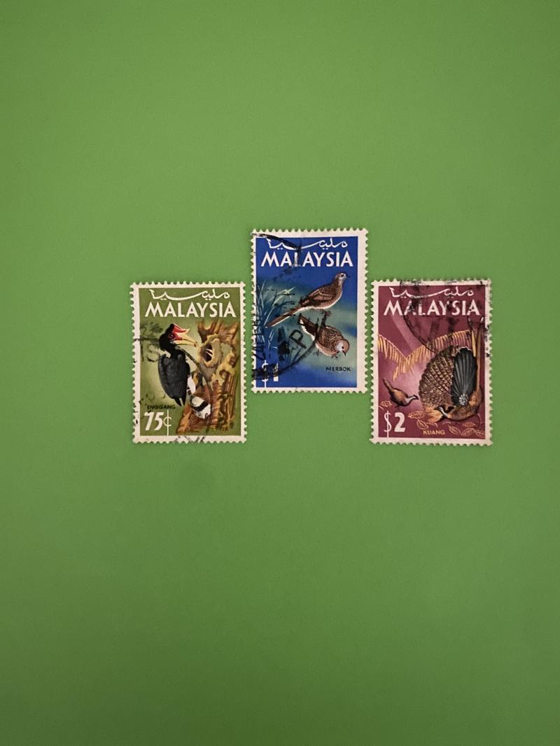 Product Introduction of Malaysia 1965 Bird series set of 3 used stamps great collectible to have in your collection -beauty to behold nature’s creation- astounding colours to appreciate importance of co-existence with nature and its environment. 11