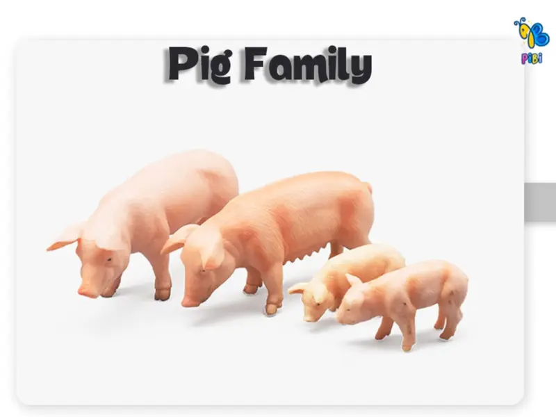PIBI - Animal Family / Farm Animal / Mainan Hewan Ternak / Mainan Edukasi Anak 7