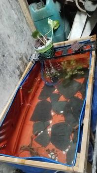 Product Review of TERPAL KOLAM A20 UK. 100×50×50 KOREA QUALITY + PEMBUANGAN from s** j**i 1