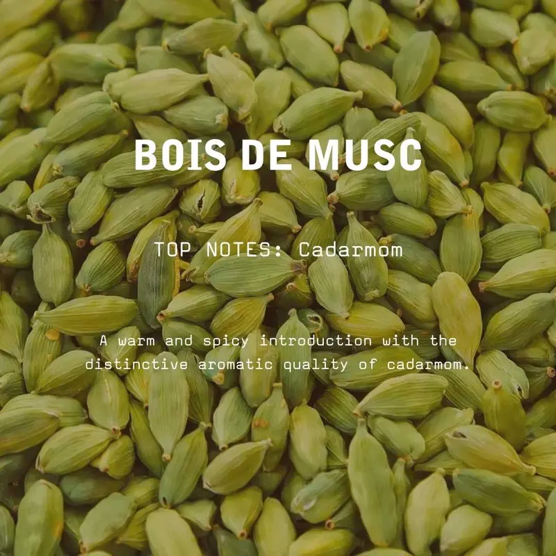 Labcitane Bois de Musc - Eau de Parfum 1