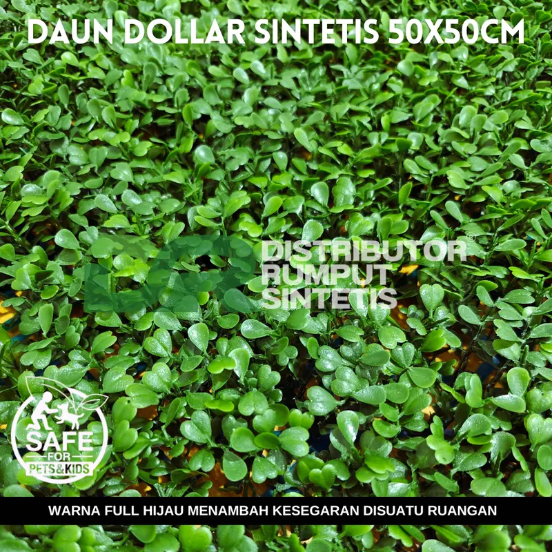 Daun Dollar UK 50x50CM FULL HIJAU - Cocok Untuk Indoor Dan Outdoor 1